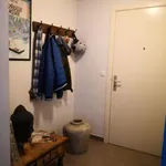 Rent 1 bedroom apartment in Sint-Niklaas