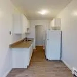 Rent 1 bedroom apartment in London