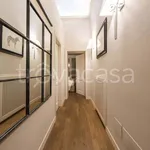 Rent 2 bedroom apartment of 100 m² in Firenze