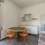 Rent a room in bologna