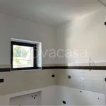 Rent 3 bedroom apartment of 60 m² in Moncalieri