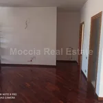 Affitto 3 camera appartamento di 110 m² in Caserta