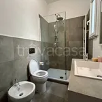 Rent 3 bedroom apartment of 61 m² in Firenze