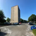 Rent 2 bedroom apartment in Heerlen