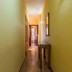 Rent 4 bedroom apartment in Madrid