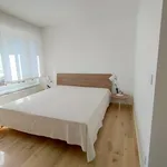 Rent 1 bedroom apartment of 63 m² in udine