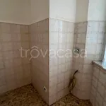 Rent 3 bedroom apartment of 75 m² in Torino