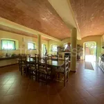 Rent 11 bedroom house of 600 m² in Carpineti