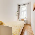 Rent 5 bedroom apartment in Prague