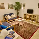 Rent 3 bedroom apartment of 120 m² in florence