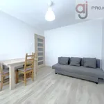 Rent 2 bedroom apartment of 38 m² in Łódź