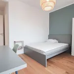 Rent a room in berlin