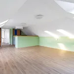 Pronajměte si 3 ložnic/e byt o rozloze 126 m² v Slaný