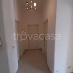 Rent 3 bedroom apartment of 90 m² in Frosinone