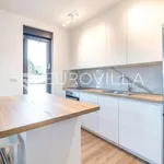 Rent 1 bedroom apartment of 43 m² in City of Zagreb