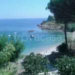 Rent 2 bedroom apartment of 70 m² in Isola di Capo Rizzuto