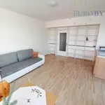 Rent 2 bedroom apartment of 55 m² in Praha