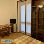 Rent 3 bedroom apartment of 110 m² in Milan