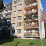 Pronajměte si 1 ložnic/e byt o rozloze 24 m² v Březnice