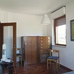 Rent 5 bedroom apartment of 130 m² in Modena