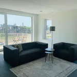 Rent 2 bedroom apartment of 861 m² in Eindhoven