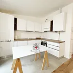 Rent 2 bedroom apartment of 58 m² in Milan