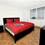 Rent 3 bedroom house in New York