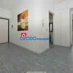 Affitto 3 camera appartamento di 87 m² in San Felice Circeo