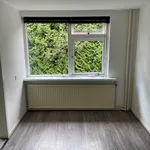 Huur 1 slaapkamer appartement van 25 m² in Groningen