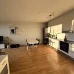 Rent 3 bedroom apartment of 90 m² in Tromsø