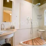 Rent 3 bedroom apartment of 70 m² in Torino