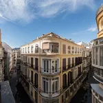 Rent 1 bedroom apartment of 55 m² in Málaga