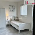 Rent 1 bedroom apartment of 18 m² in Kačice