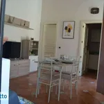 Appartamento arredato con terrazzo Centro