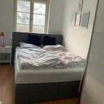 Miete 2 Schlafzimmer wohnung von 45 m² in Berlin