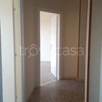 Rent 3 bedroom apartment of 70 m² in Alessandria