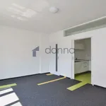 Pronajměte si 3 ložnic/e byt o rozloze 91 m² v Prague