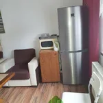 Rent 1 bedroom apartment in České Budějovice