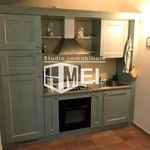 Rent 1 bedroom apartment of 60 m² in Pisa