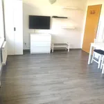 Rent 1 bedroom apartment in Capital City of Prague