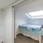 Rent 4 bedroom apartment of 80 m² in Olbia