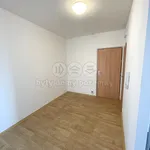 Pronajměte si 3 ložnic/e byt o rozloze 64 m² v Louny