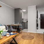 Rent 1 bedroom apartment in warsaw