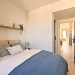 Alquilar 4 dormitorio apartamento en Madrid