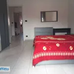 Rent 2 bedroom apartment of 55 m² in Turin