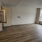 Huur 1 slaapkamer appartement van 47 m² in leerdam