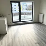 Rent 1 bedroom apartment in Brno