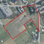 Huur 3 slaapkamer huis van 10000 m² in Kampenhout