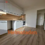 Rent 4 bedroom apartment of 70 m² in Havířov