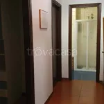 Rent 3 bedroom apartment of 100 m² in Padova